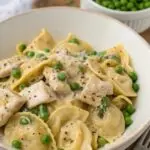 Chicken Tortellini Alfredo Recipe – Creamy, Easy, and Delicious Dinner