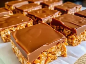 Peanut Butter Greek Yogurt Oat Chocolate Crunch Bars
