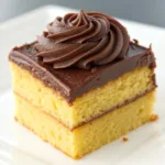 Yellow Cake with Chocolate Frosting