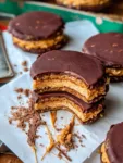 Chocolate Peanut Butter Frozen Yogurt Sandwich Cookies